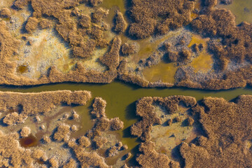 Obraz premium Pákozd, Hungary - Aerial view of reeds texture at lake Velence