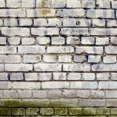 Grungy Urban Background. Empty Grunge Brick Wall. Graffiti Covered With White Paint. Dirty Green And White Brickwall Square Image.