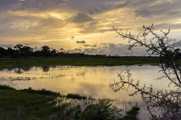 Paisajes y rincones alrededor del poblado rural de Oukout, en la región de Casamance, en el sur del Senegal