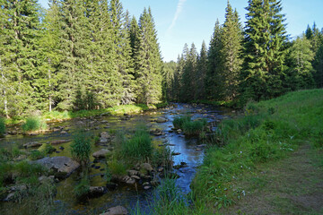 Fototapeta na wymiar Deep forest with meandering river in Sumava National Park, Czech Republic