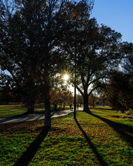 Autumn Walk in the Park