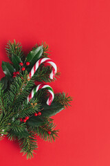 Christmas background with spruce branches, red berries and candy canes.