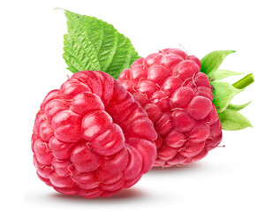 Two ripe raspberries with a green leaf from behind on a white background