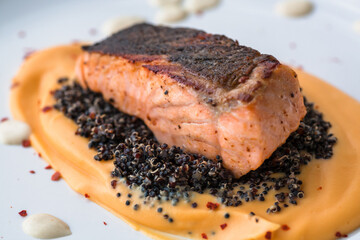 Salmon fillet with sweet potato puree, quinoa and creamy wine sauce. Fresh food close-up