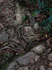 Bach Ma national park from Da Nang Vietnam