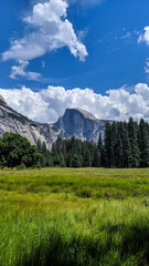 Yosemite National Park landscape Half Dome distance trees grass
