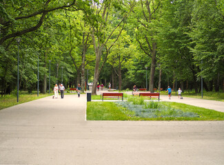 People walking in park alley in summer.