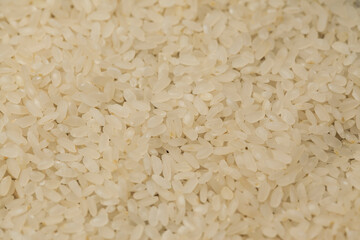 close-up of raw rice grains