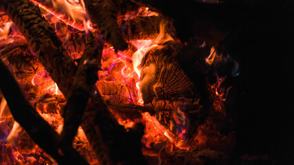 branches and logs are burning in the fire close up