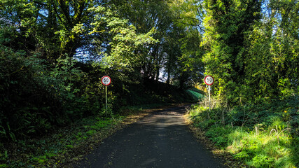 Old speed limit signs in Ireland, tree lined Irish road, grass