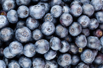 Fresh blueberry background. Texture blueberry berries close up.
