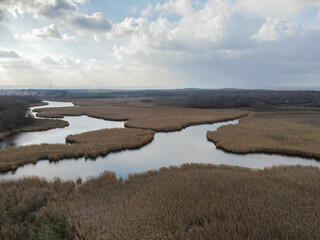 lake and reeds in autumn