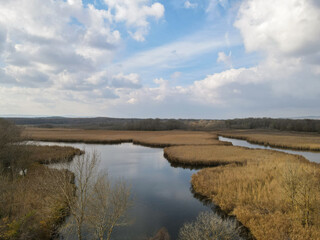 lake and reeds in autumn