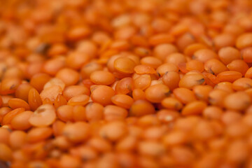 close-up raw lentil kernels