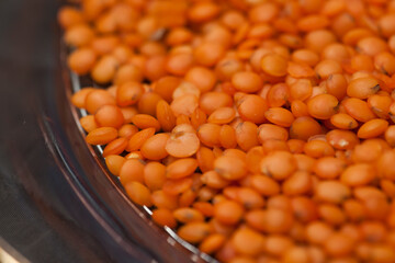 close-up raw lentil kernels