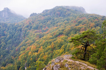 Hiking trail with stunning view to autumn woods, misty weather
