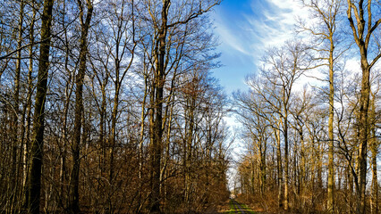  Ein schöner Februartag im Hannover - Wülferode, Bemerode.