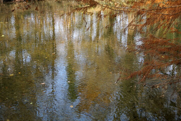 bellissimi riflessi colorati in autunno sull'acqua del fiume