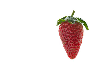 Strawberries against white background