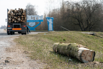 Transportation of wood on a truck with a trailer. The driver fixes the logs on the trailer...