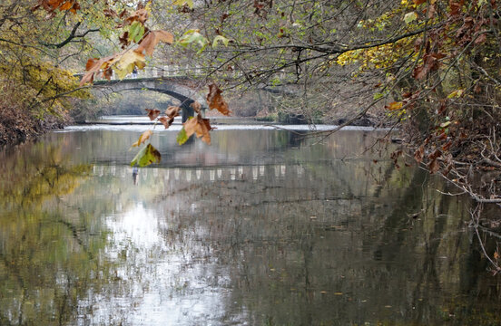 Fotografia scattata in autunno del fiume lambro nei pressi del ponte della cavriga, parco di Monza, Lombardia, Italia