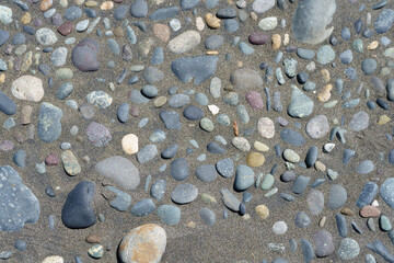 fondo de rocas de playa incrustadas en la arena 