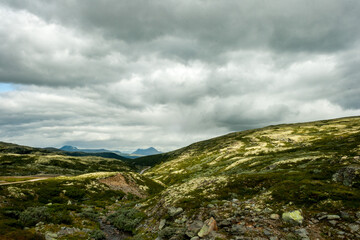 Fototapeta na wymiar Rondane National Park, Norway, Europe