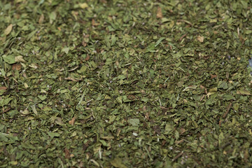 Close-up green dried mint background.