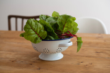 basil in a bowl