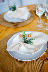 Christmas dinner plate with textile napkins