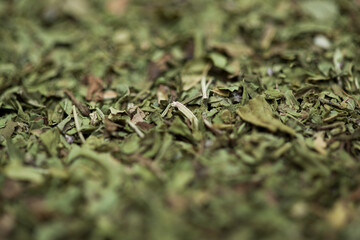 Close-up green dried mint background.