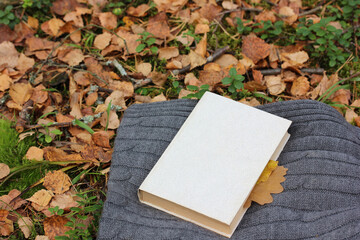 book with a bookmark of leaves on a knitted wool blanket.