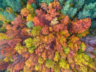 Aerial view of beautiful landscape of Mazury region during autumn season