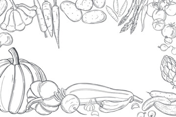 Vector background with  vegetables.