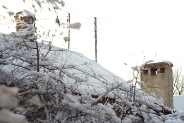 Rural chimneys and antennas on a snow-covered roof and tree branches