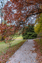 Fototapeta na wymiar Autumn trees alley with colorful leaves in the park