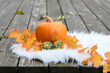 pumpkin and autumn leaves on table with negative space for text