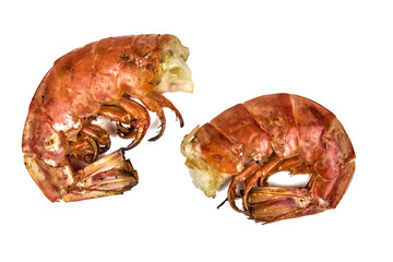 two grilled shrimps isolated on white