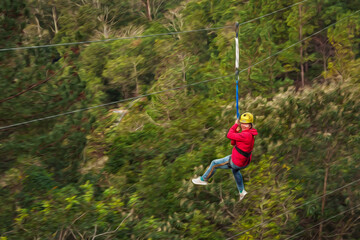 Woman descending by cables in a sport called zip-line over green forest in a valley near Canela. A charming small town very popular by its ecotourism in southern Brazil. Oil Paint filter.