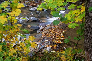 Wier in autumn. Foggy early evening. River Juhyne. East Moravia. Czech Republic. Europe. 