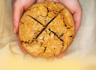 Bread made from various types of flour and seeds.
Round home gluten-free bread in female hands....