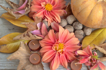 Autumn background. Pumpkin, flowers and nuts.