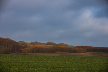 Skåne landscape around Malmo in autumn