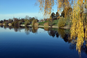 Herbst im Seepark in Freiburg