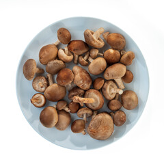 Shiitake mushrooms on a round blue plate. Isolated on white background. .
