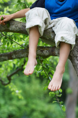 Little Boy Sitting On Tree Branch