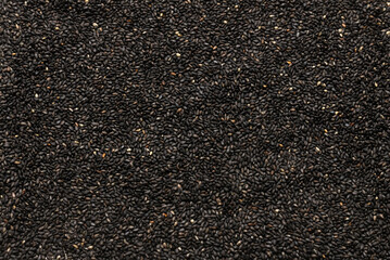 Seeds of a black sesame.