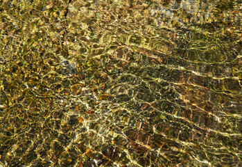 TEXTURA TRANSPARENTE