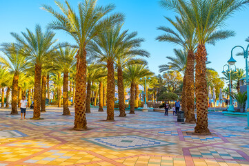 Walk among the palms, Eilat, Israel