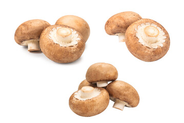 Tasty mushroom isolated on white background.